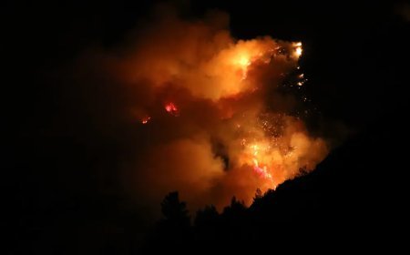 Antalya Kaş'ta orman yangını sürüyor. Gece olunca hava desteği durdu