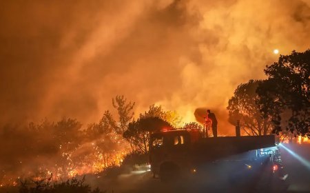 Türkiye’nin dört bir yanında yangın. Rüzgar mücadeleyi zorlaştırıyor