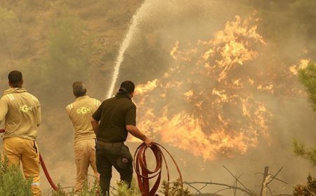 Kumluca, Kaş ve Manavgat orman yangınlarında son durum! Vali açıkladı