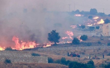 Yunanistan'da kabus senaryosu! Yangınlarda can kaybı artıyor