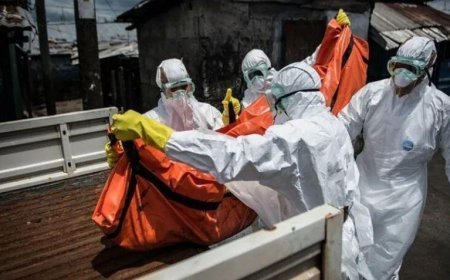 10 milyon kişi açlıkla karşı karşıya! Ebola salgını durumu daha da kötüleştirdi