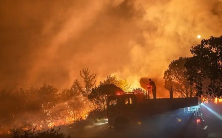 Gömeç yangınının nedeni belli oldu. İki şüpheli tutuklandı