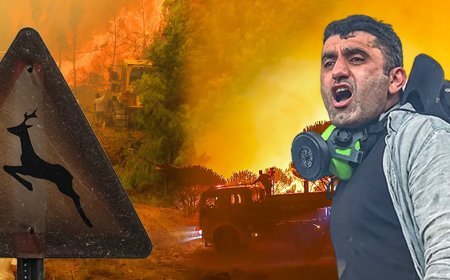 Orman yangınlarında son durum | En kritik nokta Aydın Çine, bölgede göz gözü görmüyor