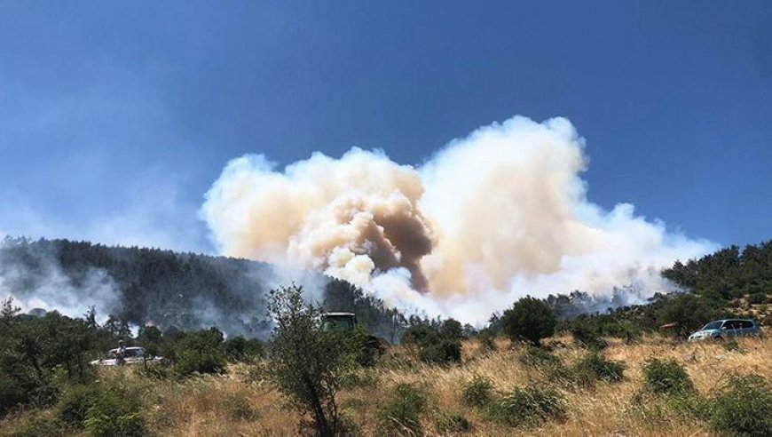 Balıkesir'de orman yangını! Alevler rüzgarın etkisiyle hızla yayıldı