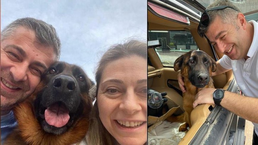 'Santos' için 100 bin lira ödül: Aramadığımız, sormadığımız yer kalmadı