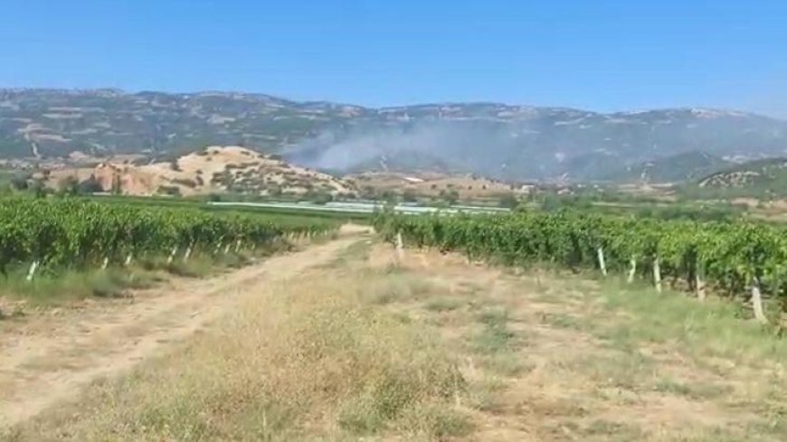 Manisa'da orman yangını! Havadan karadan müdahale başladı