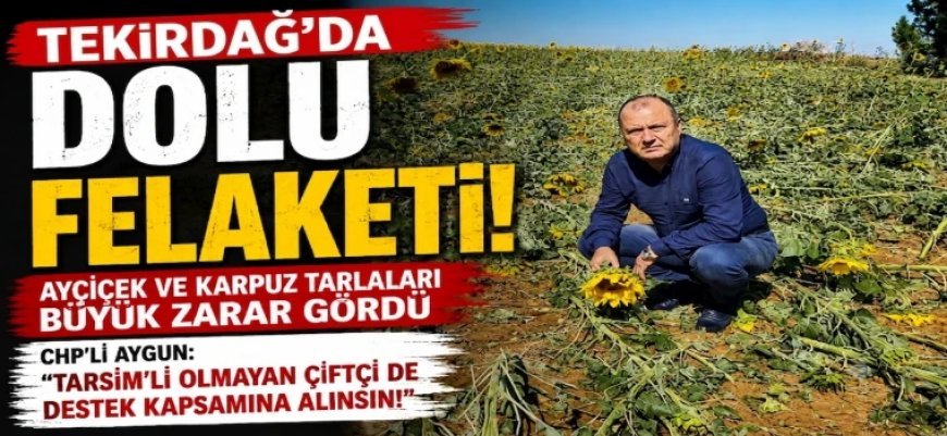 DOLU FELAKETİ ÜRETİCİYİ VURDU