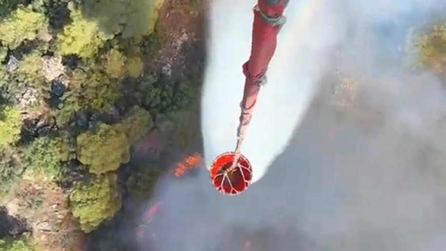 Muğla'da orman yangını! Havadan karadan müdahale