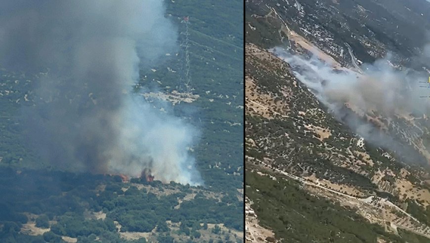 Son dakika... İzmir'de orman yangını! Müdahale başladı