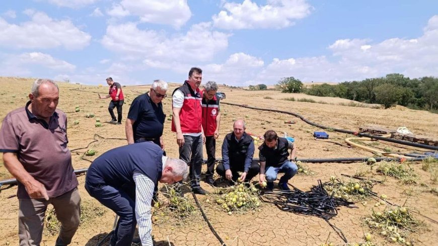 Tekirdağ'da doludan zarar gören tarlalarda inceleme sürüyor