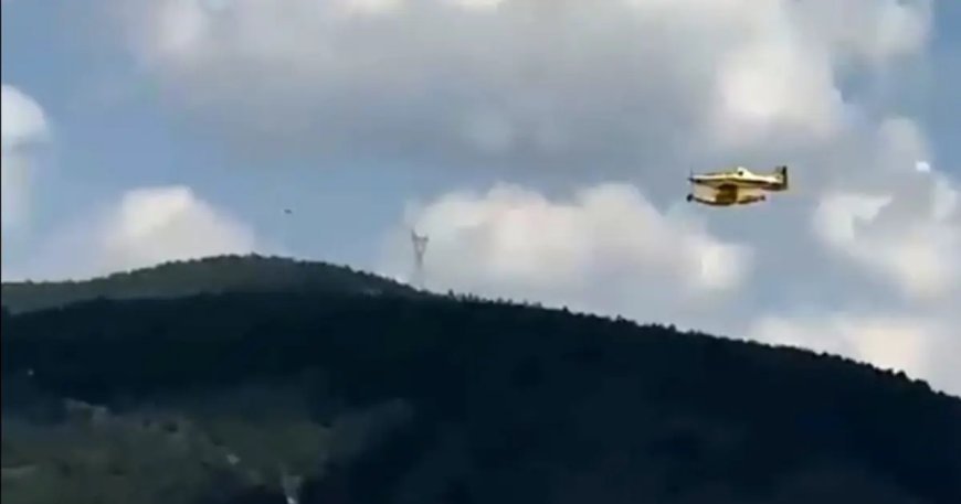 3 ilde orman yangını. Alevler kontrol altına alındı