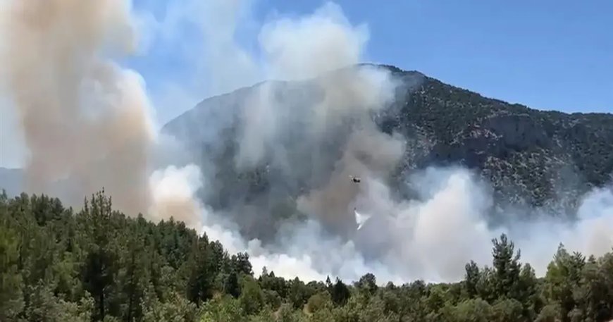 Antalya'da orman yangın: Ekipler müdahale ediyor