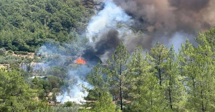Afyonkarahisar, Muğla ve Antalya'da orman yangını. Ekipler sevk edildi
