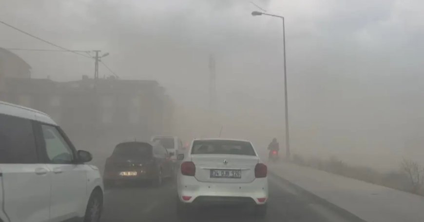 İstanbul'da fırtına. Ağaçlar devrildi, uçaklar kalkamadı