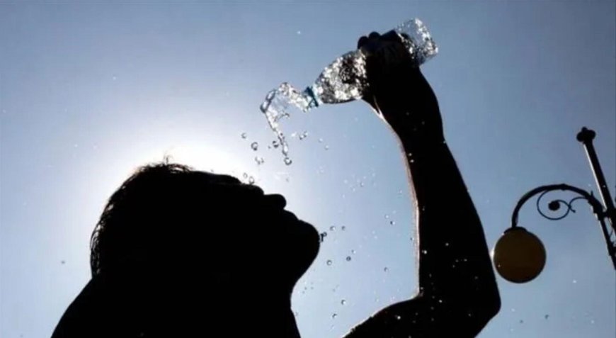 Belçika sıcaklara teslim oldu! Avrupa'nın en yüksek aşırı ölüm oranı kaydedildi