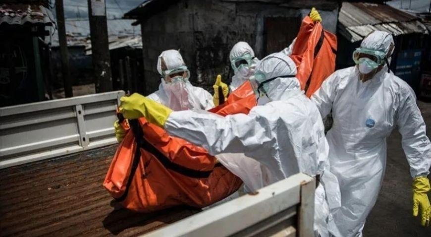 10 milyon kişi açlıkla karşı karşıya! Ebola salgını durumu daha da kötüleştirdi