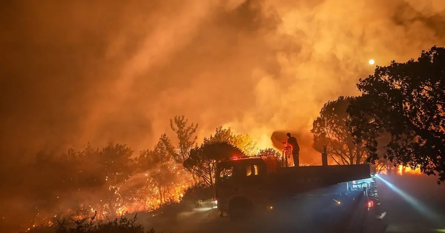 Gömeç yangınının nedeni belli oldu. İki şüpheli tutuklandı