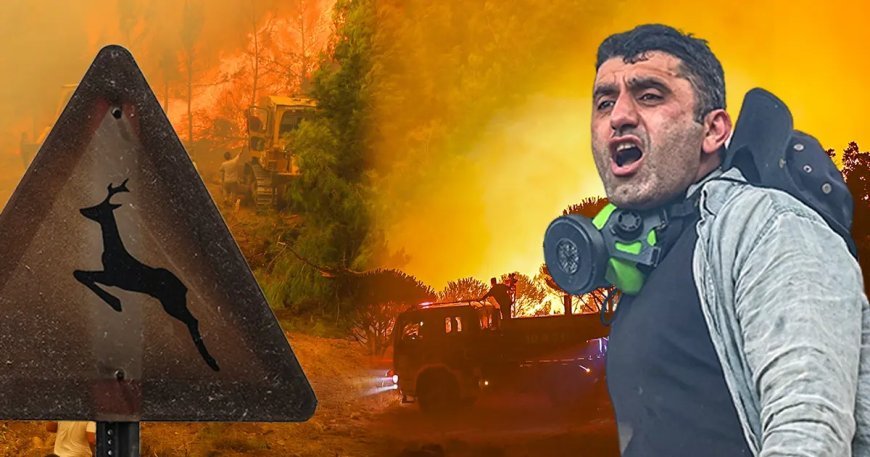 Orman yangınlarında son durum | En kritik nokta Aydın Çine, bölgede göz gözü görmüyor