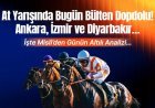 At Yarışında Bugün Bülten Dopdolu! Ankara, İzmir ve Diyarbakır…. İşte Misli’den Günün Altılı Analizi…
