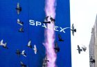SpaceX rekor zarar açıklayacak. Hisseleri yarı yarıya eridi