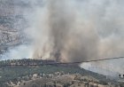Adıyaman'da orman yangını. Ekipler müdahale ediyor
