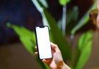 Ne paranız geçecek ne de sıranız gelecek. iPhone 18 krizle geliyor