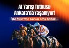 At yarışı tutkusu Ankara’da yaşanıyor! İşte Misli’den günün altılı analizi…