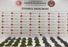 Gümrük Muhafaza’dan 7 ayda dev operasyon! 71,9 milyar liralık kaçak eşya ve uyuşturucu yakalandı
