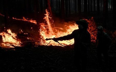 Türkiye alevlerle mücadele ediyor! Bakan Yumaklı son durumu paylaştı: 218 yangından 213'ü kontrol altına alındı