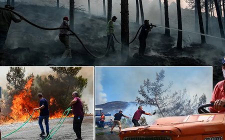 Alanya ve Marmara Adası'nda orman yangını