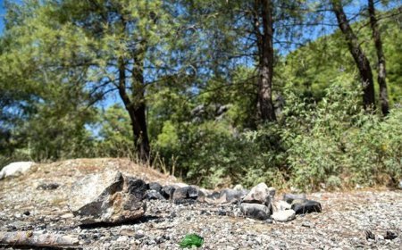 Ormanda pes dedirten görüntü! Uyarı tabelasının dibinde mangal yaktılar, cezaları umursamadılar