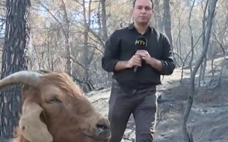 Kahreden an: Yangın şokunun etkisiyle hareket bile edemiyor