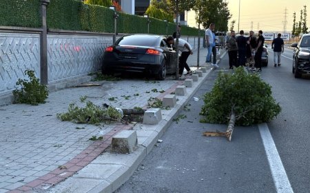 Kontrolden çıkan otomobil, kaldırımdaki ağaca ve duvara çarptı