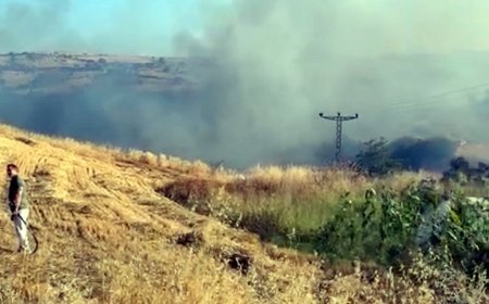Tekirdağ’da yangında, 80 dekar alan zarar gördü