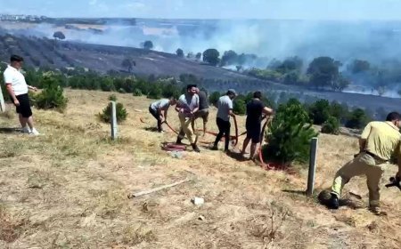 Tekirdağ’da yangın; 100 dekar alan zarar gördü