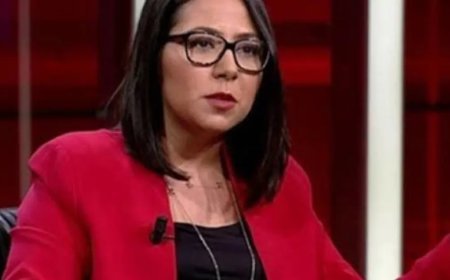 Milletvekili Sera Kadıgil hakkında Cumhurbaşkanı'na hakaret ve tehdit soruşturması