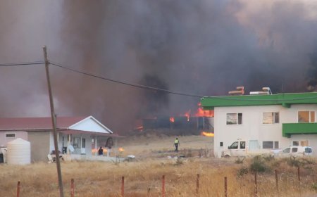 Çanakkale'de ormanlık alanda yangın çıktı