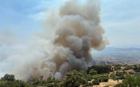 Vali duyurdu: Çine'deki orman yangınına ilişkin 2 kişi gözaltı