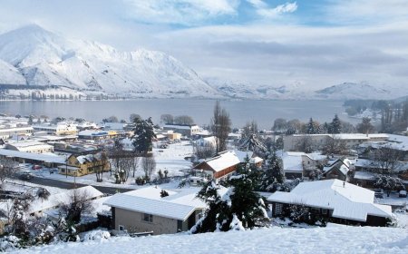 Dünya sıcaktan kavrulurken kara teslim oldular! Okullar tatil edildi
