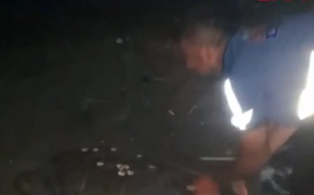 Sahilde yönünü şaşıran caretta carettayı vatandaşlar denize ulaştırdı
