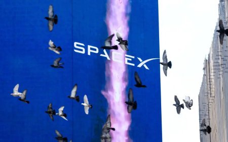 SpaceX rekor zarar açıklayacak. Hisseleri yarı yarıya eridi