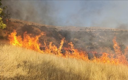 Tunceli'de otluk alandaki yangın ormana sıçradı. Ekipler müdahale ediyor