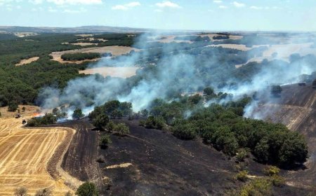 Tekirdağ'da itfaiye 7 ayda 8 bin 157 olaya müdahale etti