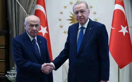 Cumhurbaşkanı Erdoğan, Devlet Bahçeli ile görüştü