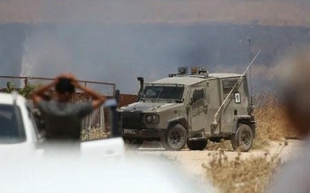 BM: Filistin topraklarını gasbeden İsraillilerin karıştığı olayların sayısı 1380'i aştı