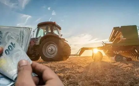 Bakan Yumaklı duyurdu! 688 milyon liralık destek ödemesi bugün hesaplarda