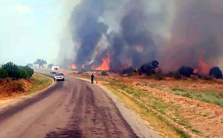 Edirne’de alevler ormana sıçradı! Havadan ve karadan müdahale sürüyor
