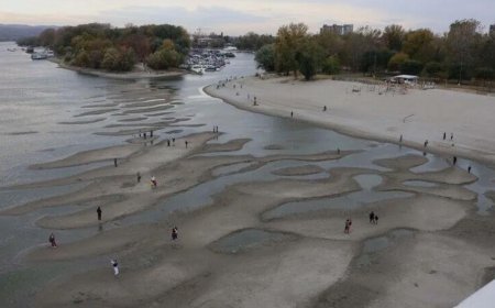 Tuna Nehri'nde tehlike çanları! Nükleer santral alarma geçti
