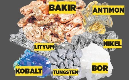 Kritik madenler için güçbirliği