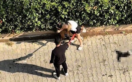 Adana’da Pitbull dehşeti! Kediyi parçaladı: Sahibi 'polisi aramayın' diye yalvardı